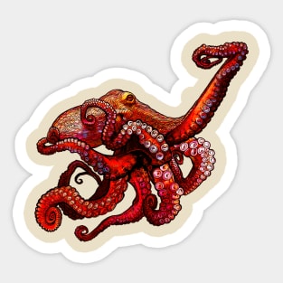 Octopus Sticker